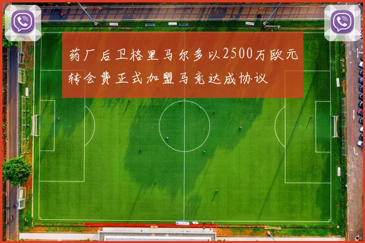 药厂后卫格里马尔多以2500万欧元转会费正式加盟马竞达成协议