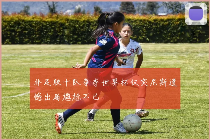 非足联十队争夺世界杯仅突尼斯遗憾出局尴尬不已